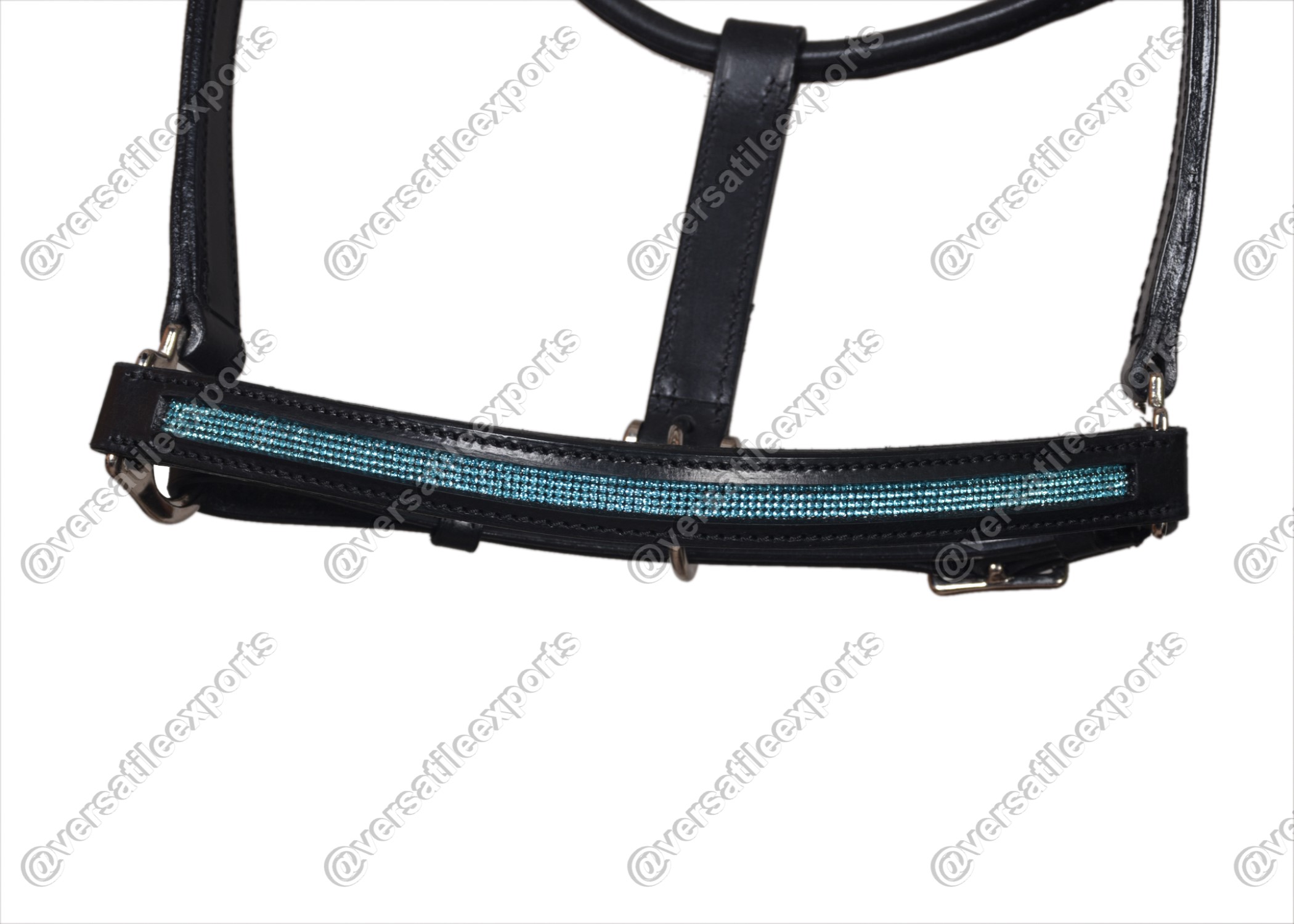 Halter Shiny
